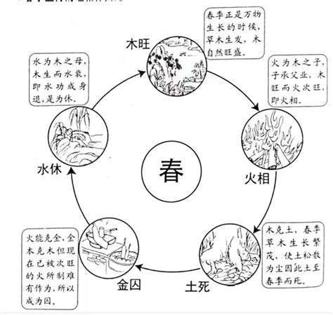 月 五行|五行的旺、相、休、囚、死